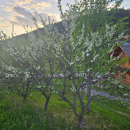 생트-호스-뒤-노르 Le Repaire Viking B&B 외부 사진